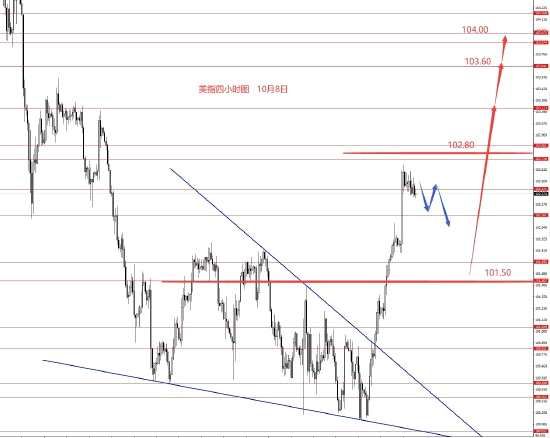 张果彤:美指修整后上涨行情继续(2024年11月13日)